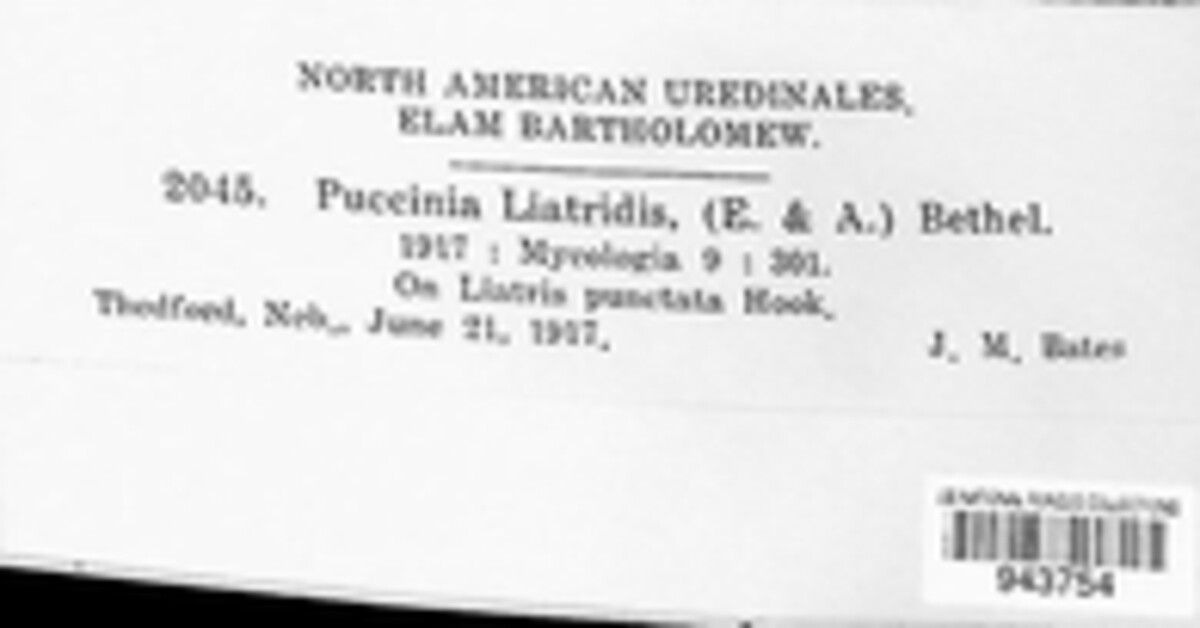 Puccinia liatridis image